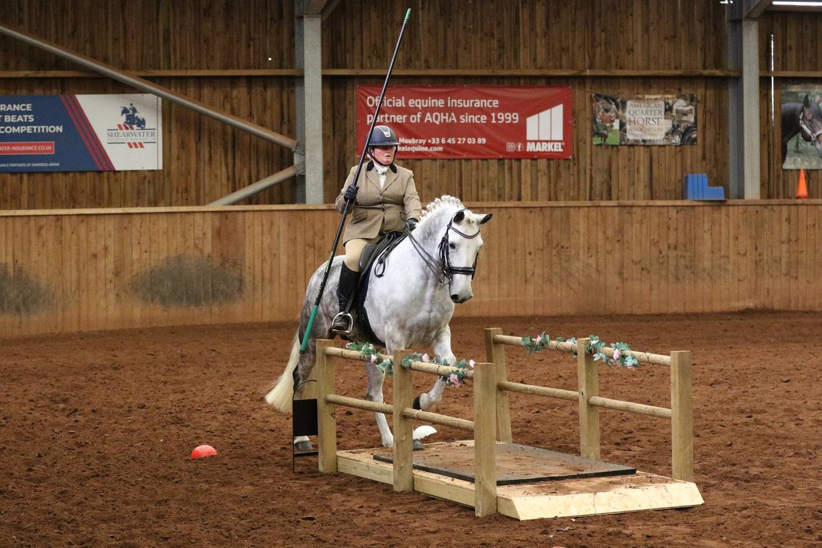 Working Equitation Training clinic