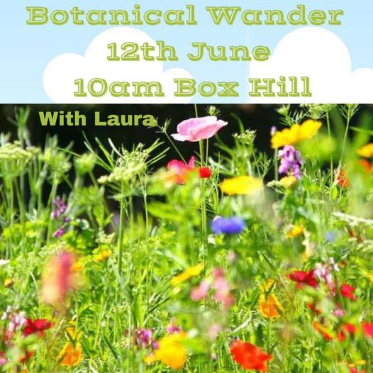 Botanical Wander with Laura