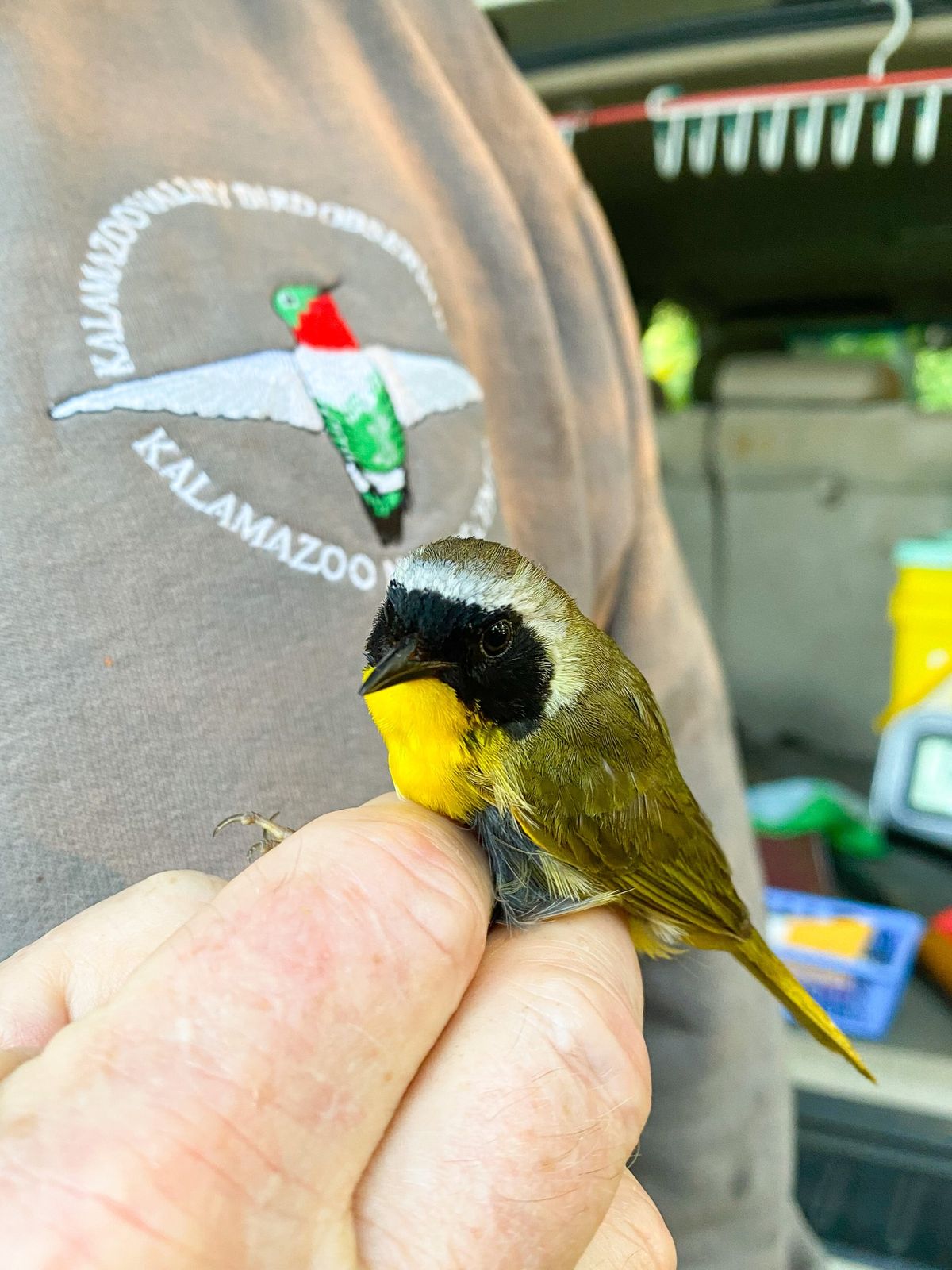 Bird Banding Up Close