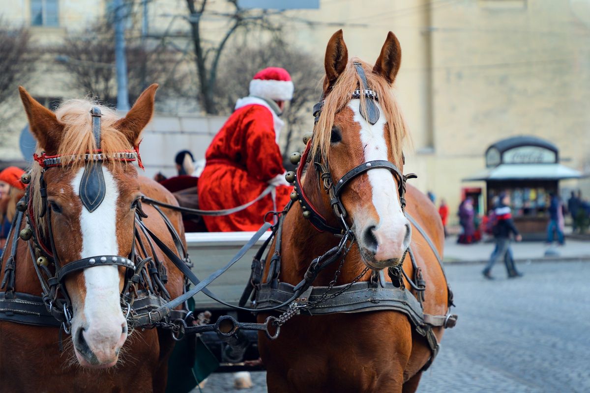 IMHNE visit to the Santa Social