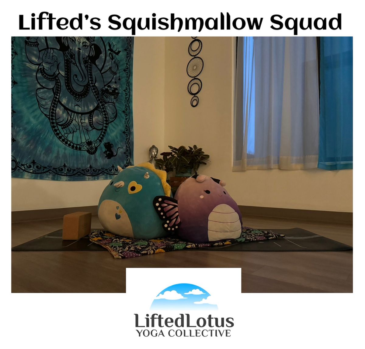 Lifted\u2019s Squishmallow Squad ~ Yoga with Stuffed Animals with Lacey