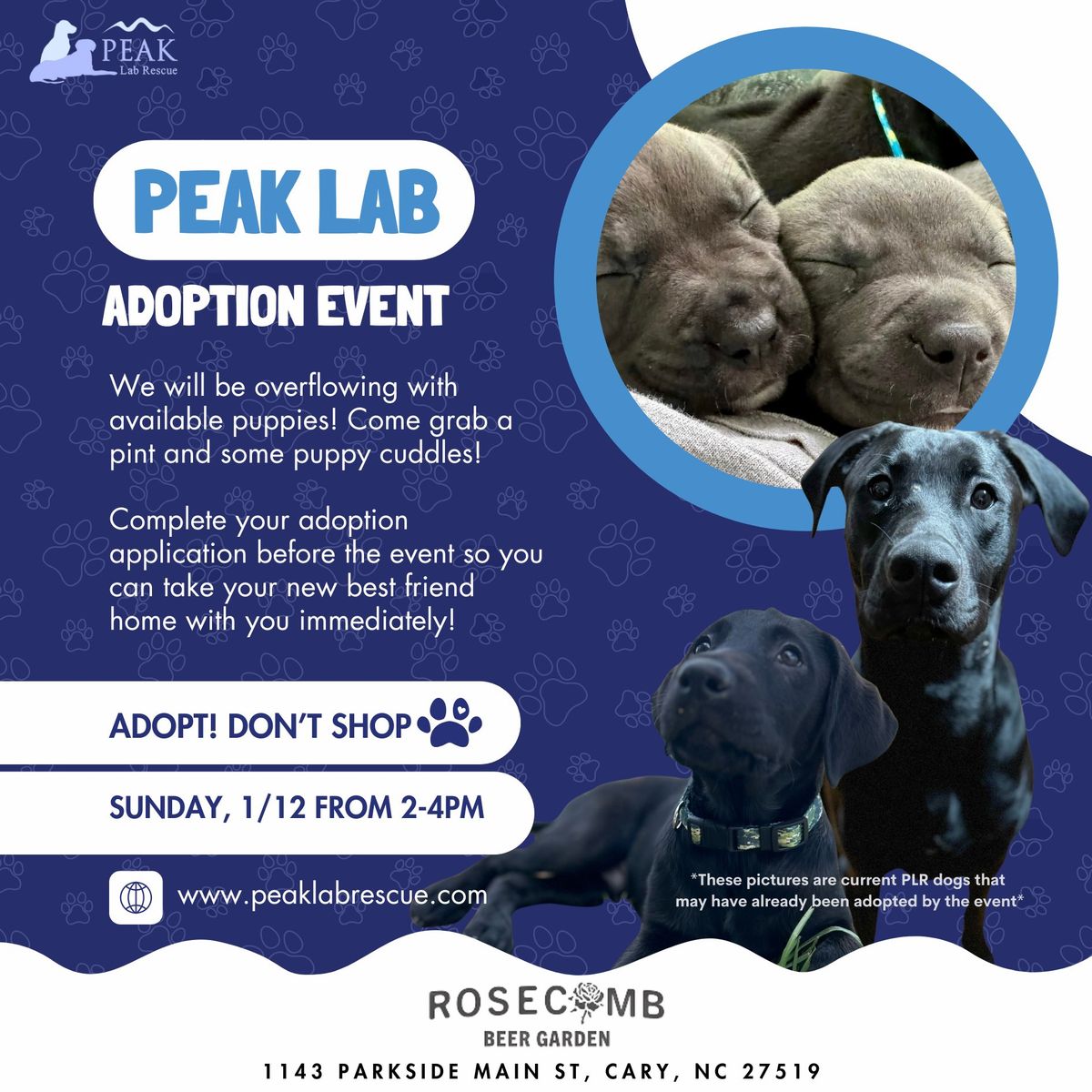 January Adoption Event