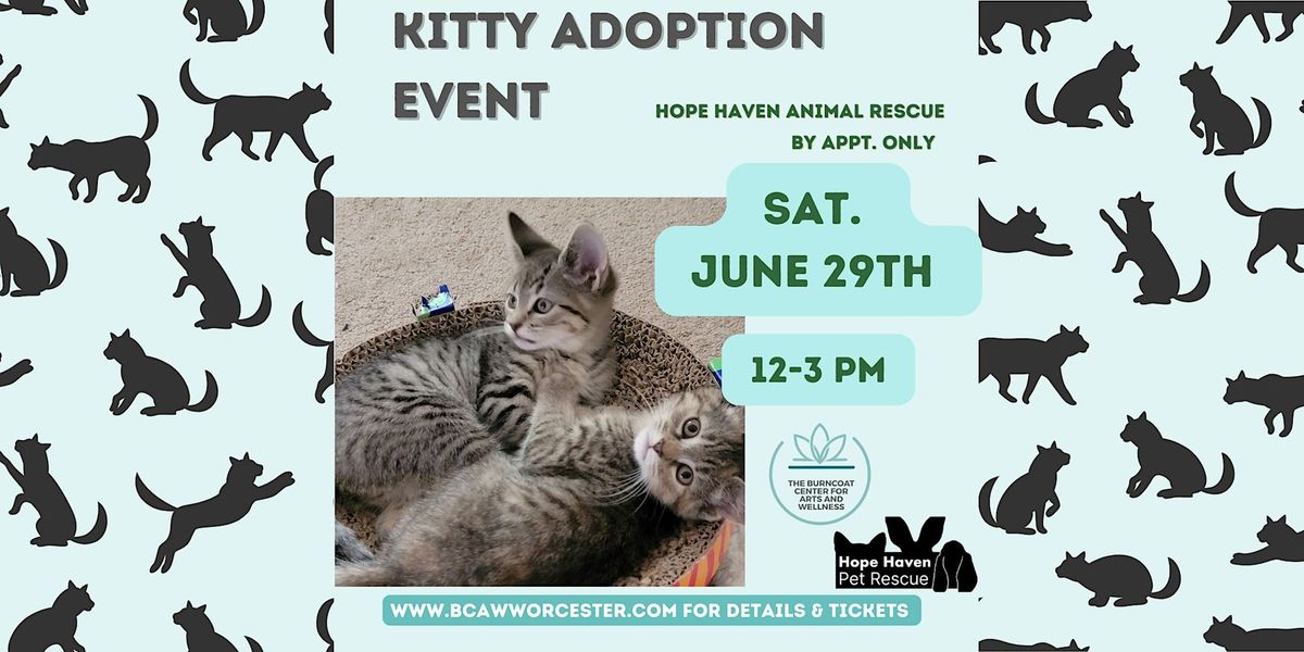 Kitty Adoption Event by Hope Haven Pet Rescue