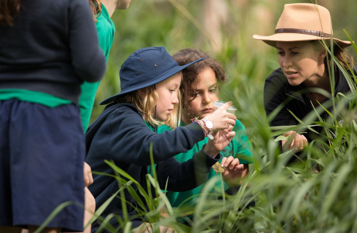 Park Science \u2013 Nature's Superpowers