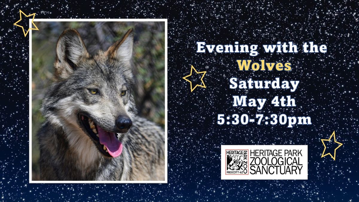 Evening with the Wolves