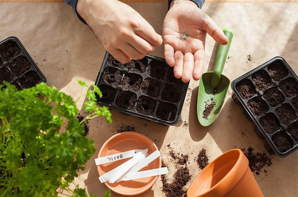 Spring Fling Plant Potting Workshop