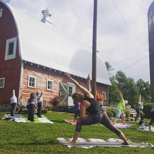 Yoga in the Vines