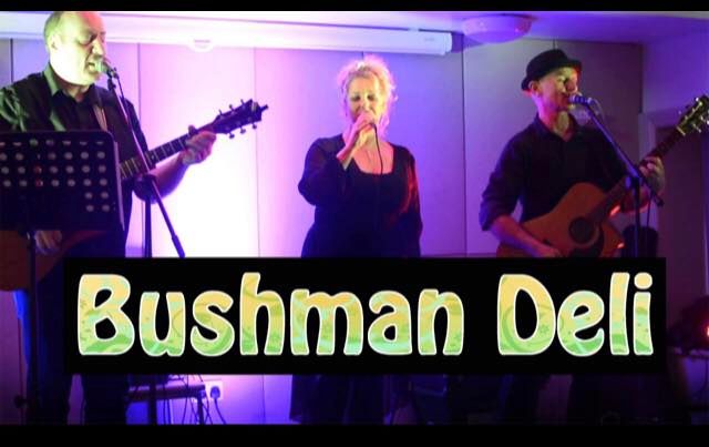 Bushman Deli - Live at The Padarn Hotel, Llanberis