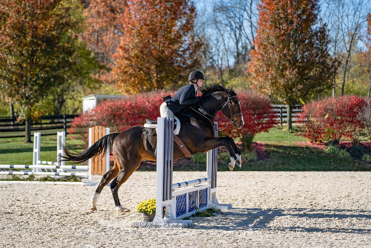 Hathaway Hill Spring 2025 Show May 17-18, 2025