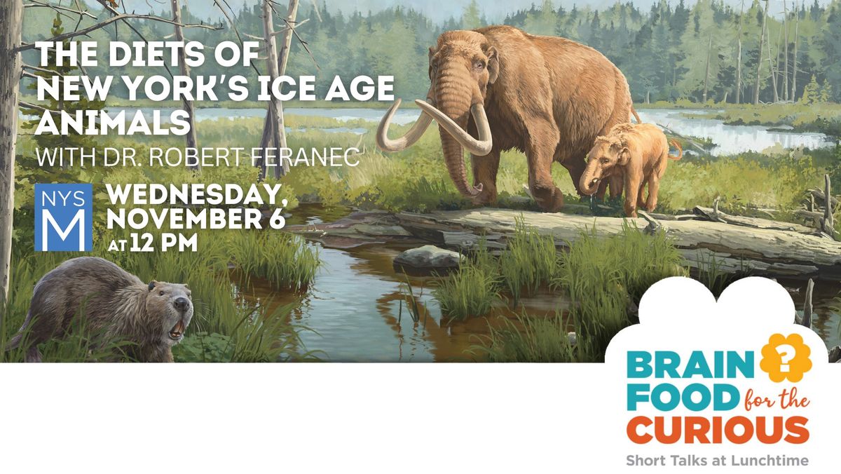 BrainFood for the Curious: The Diets of New York\u2019s Ice Age Animals 