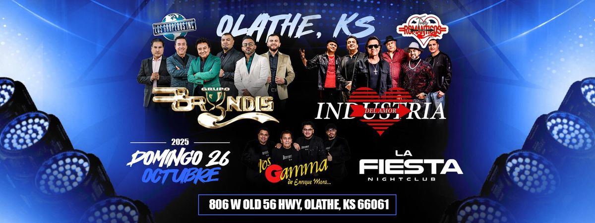 GRUPO BRYNDIS, INDUSTRIA DEL AMOR & MAS