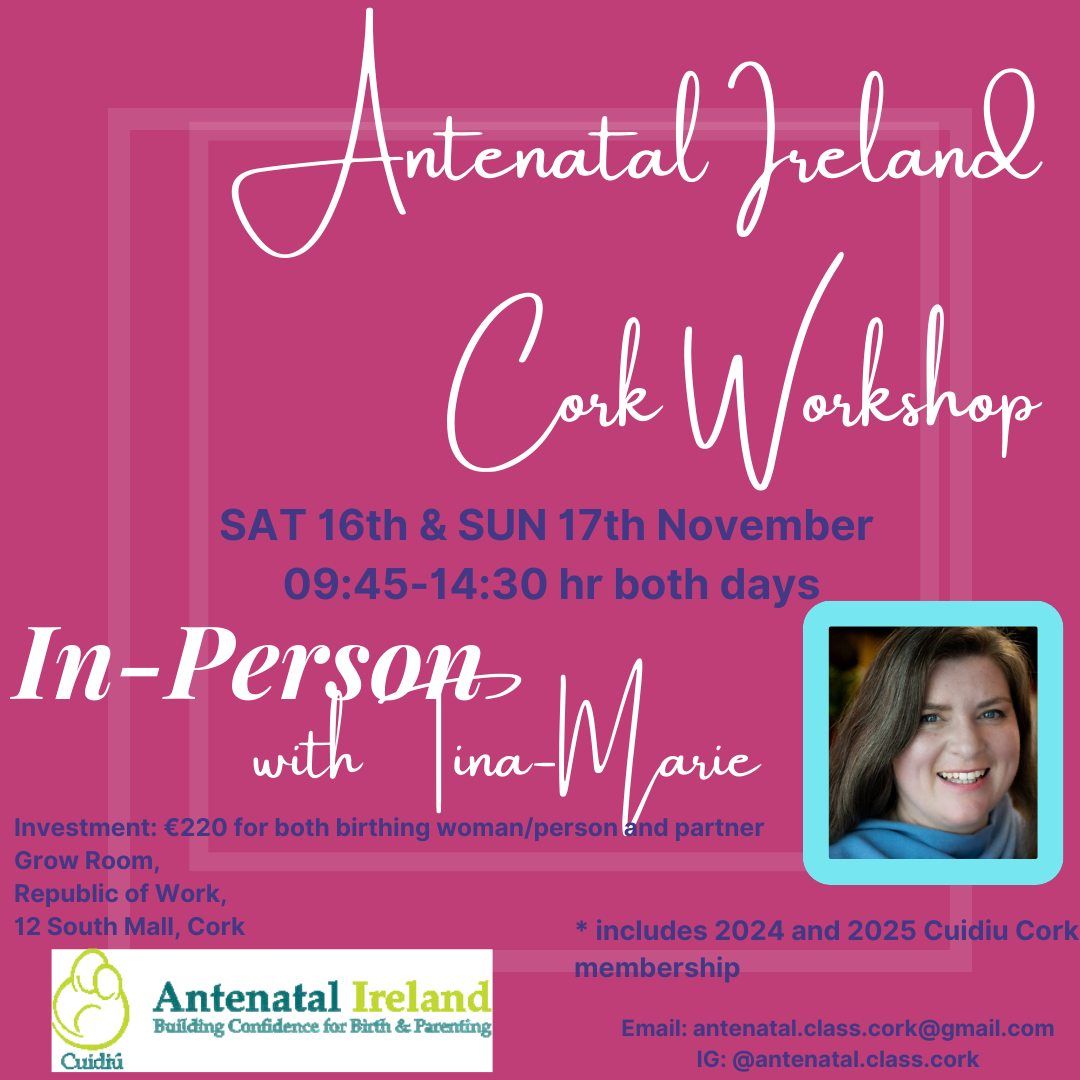 Cork Antenatal Ireland November Workshop