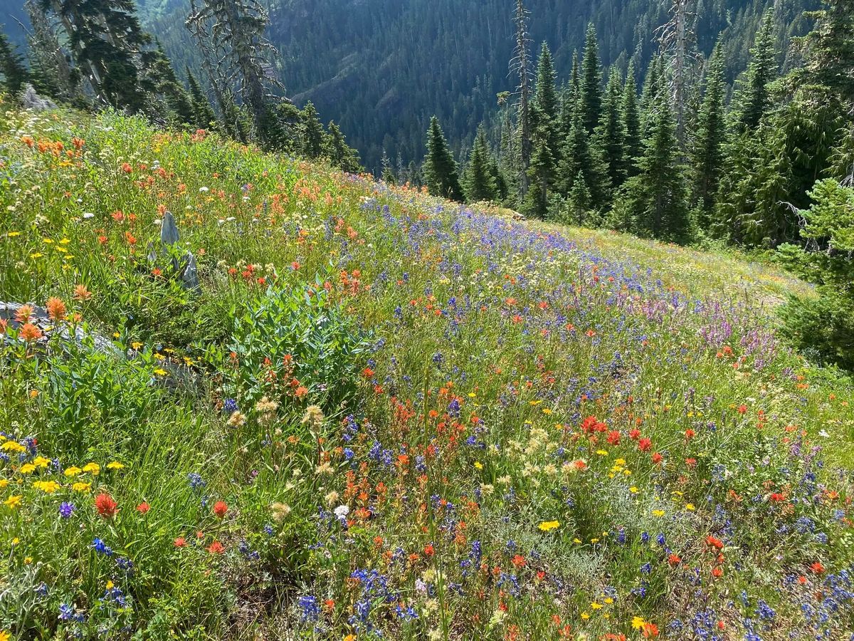 Hike Cub Peak