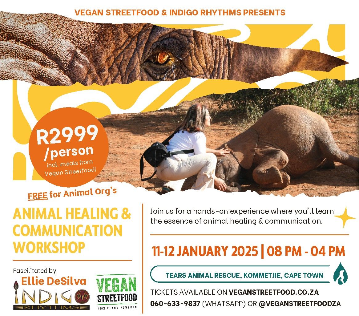 Animal Healing & Communication Workshop with Ellie DeSilva 