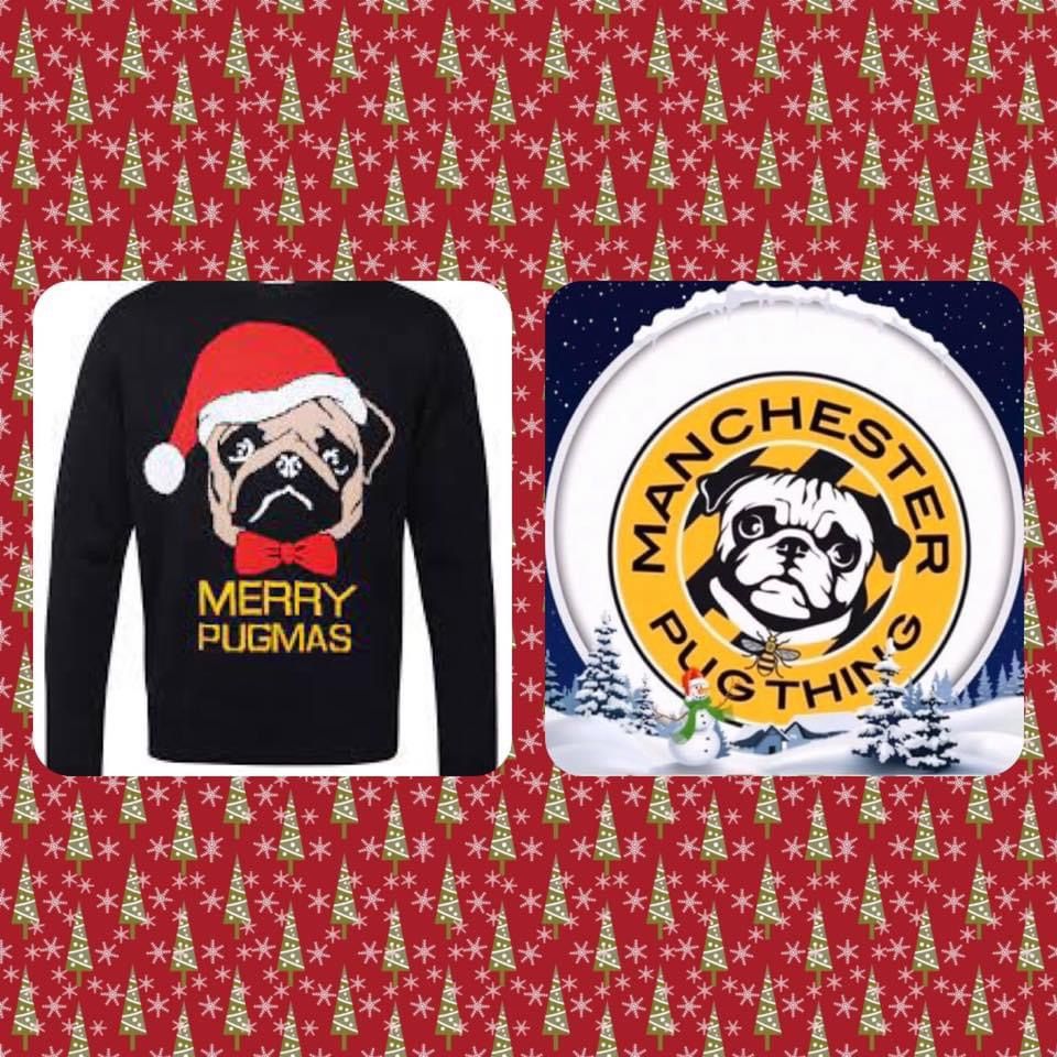 Christmas Jumper walk for Humans and pugs 