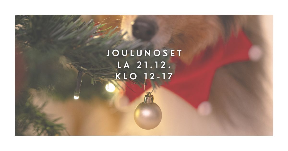 POP UP NOSETREENIT | JOULUNOSE | Kuopio