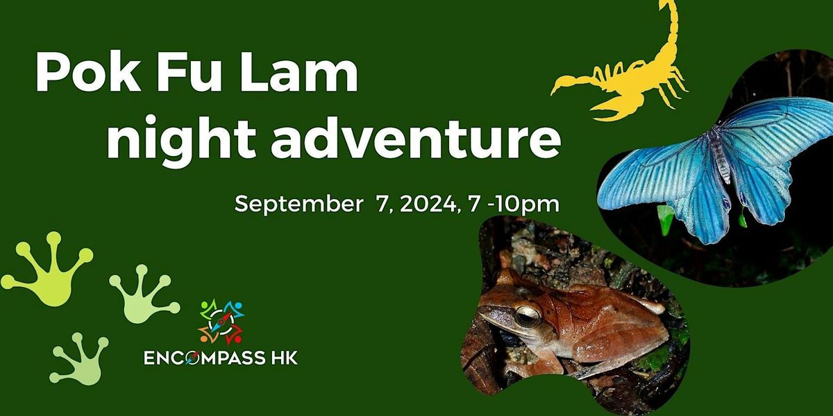 Pok Fu Lam night adventure