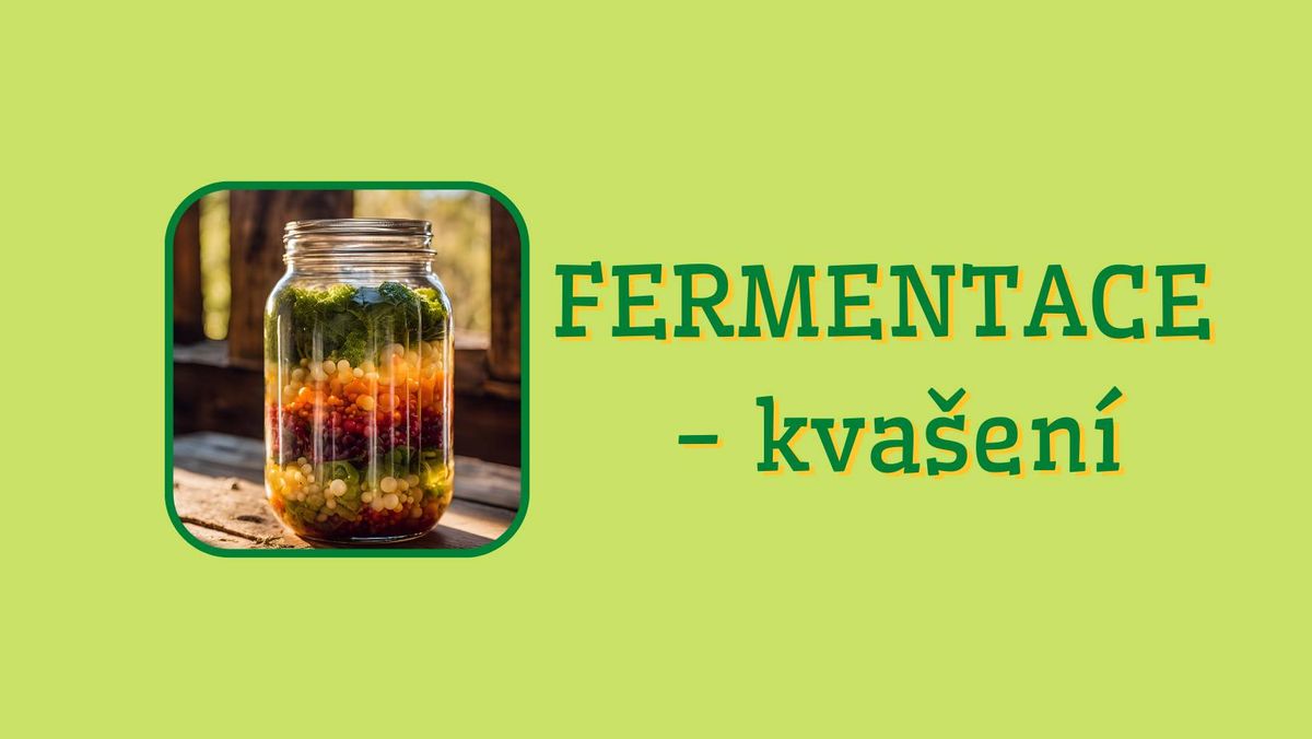 FERMENTACE - kva\u0161en\u00ed