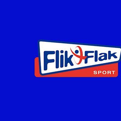 Stichting Flik-Flak