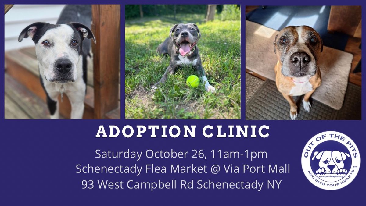 OOTP Adoption Clinic