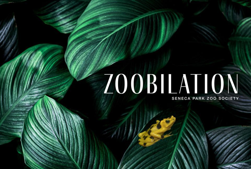 Zoobilation 2023