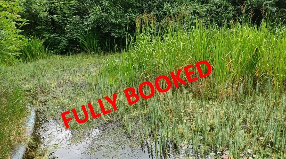 Pond Dipping in Belleisle FULLY BOOKED. Please let us know if you are no longer able to attend.