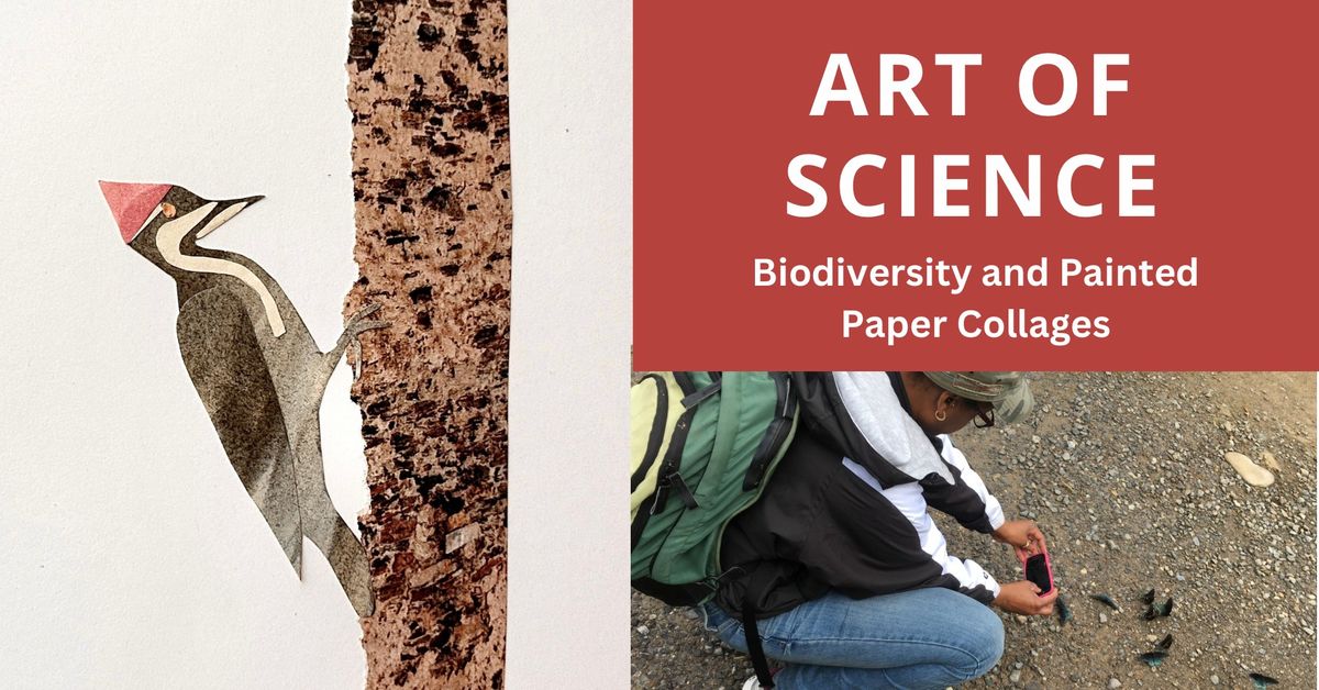 Art of Science: Biodiversity and Painted Paper Collages