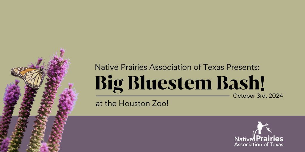 Big Bluestem Bash!