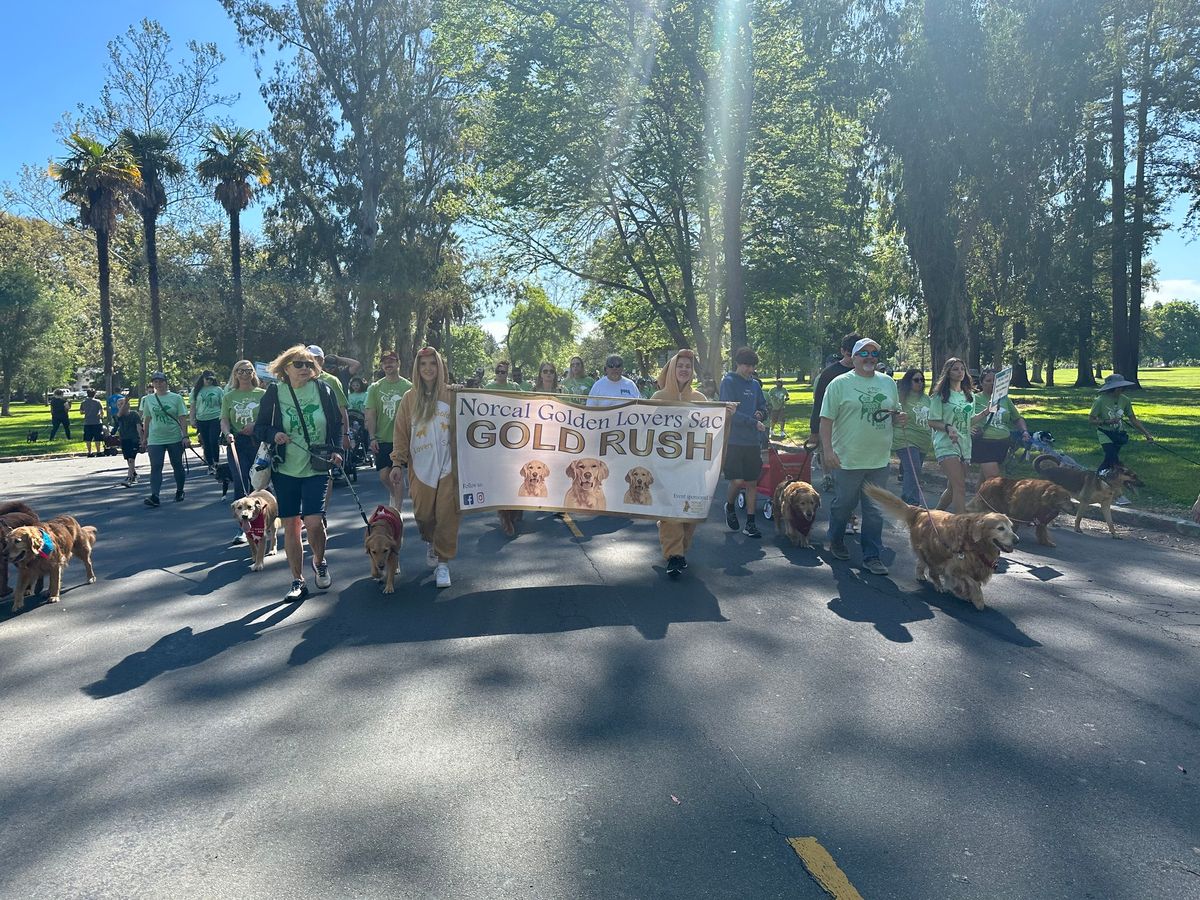 SPCA Doggy Dash -The GOLD RUSH 