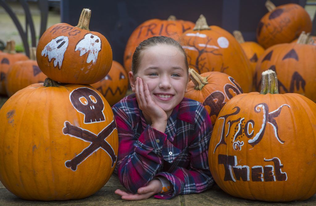 Pensthorpe Pumpkin FESTIVAL