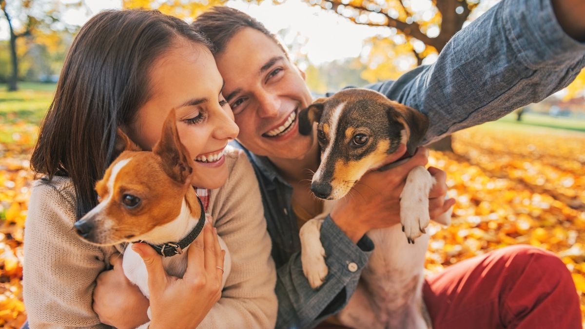 Adoption Event at Pet Supplies Plus Beavercreek