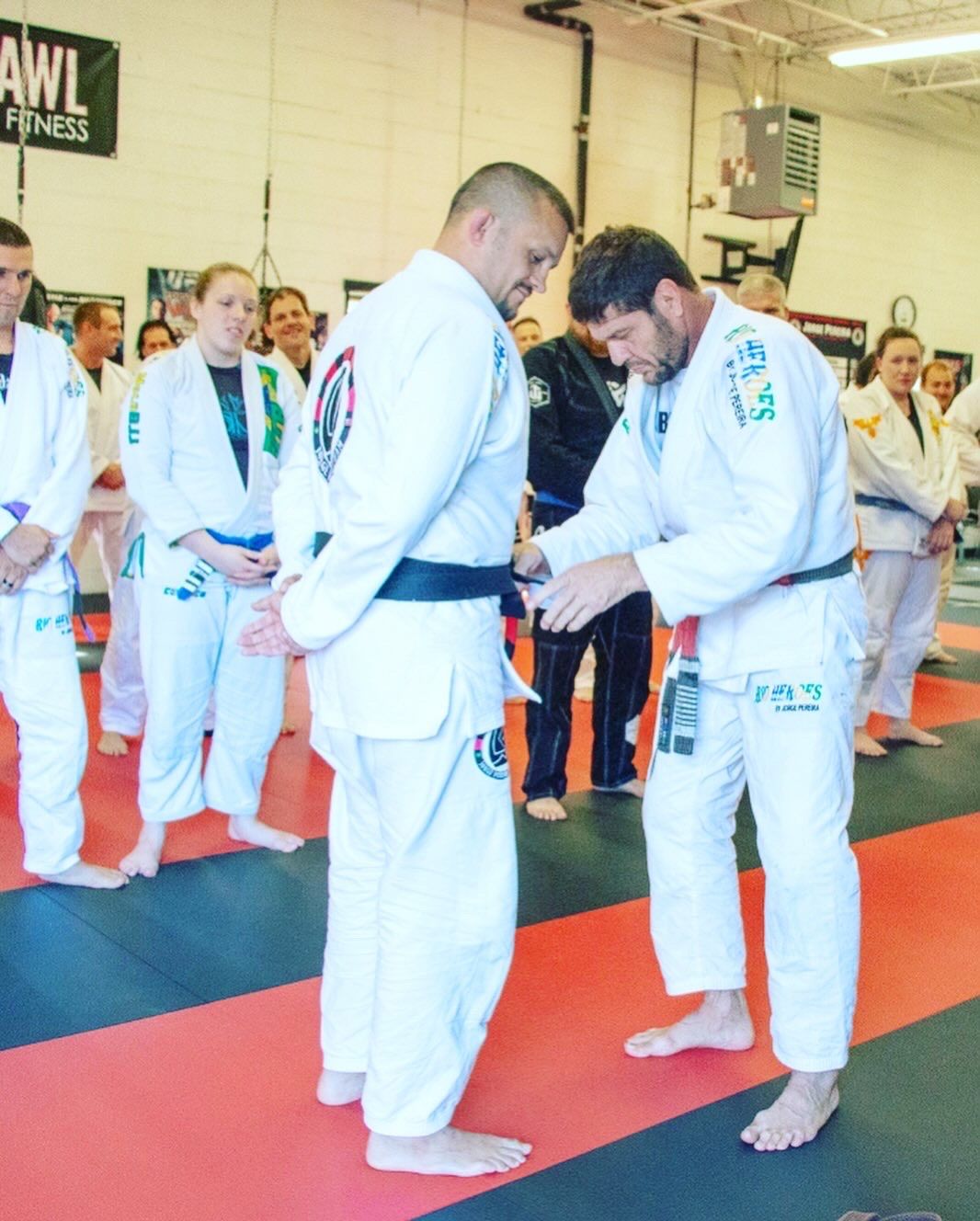 Master Pereira BJJ Seminar!