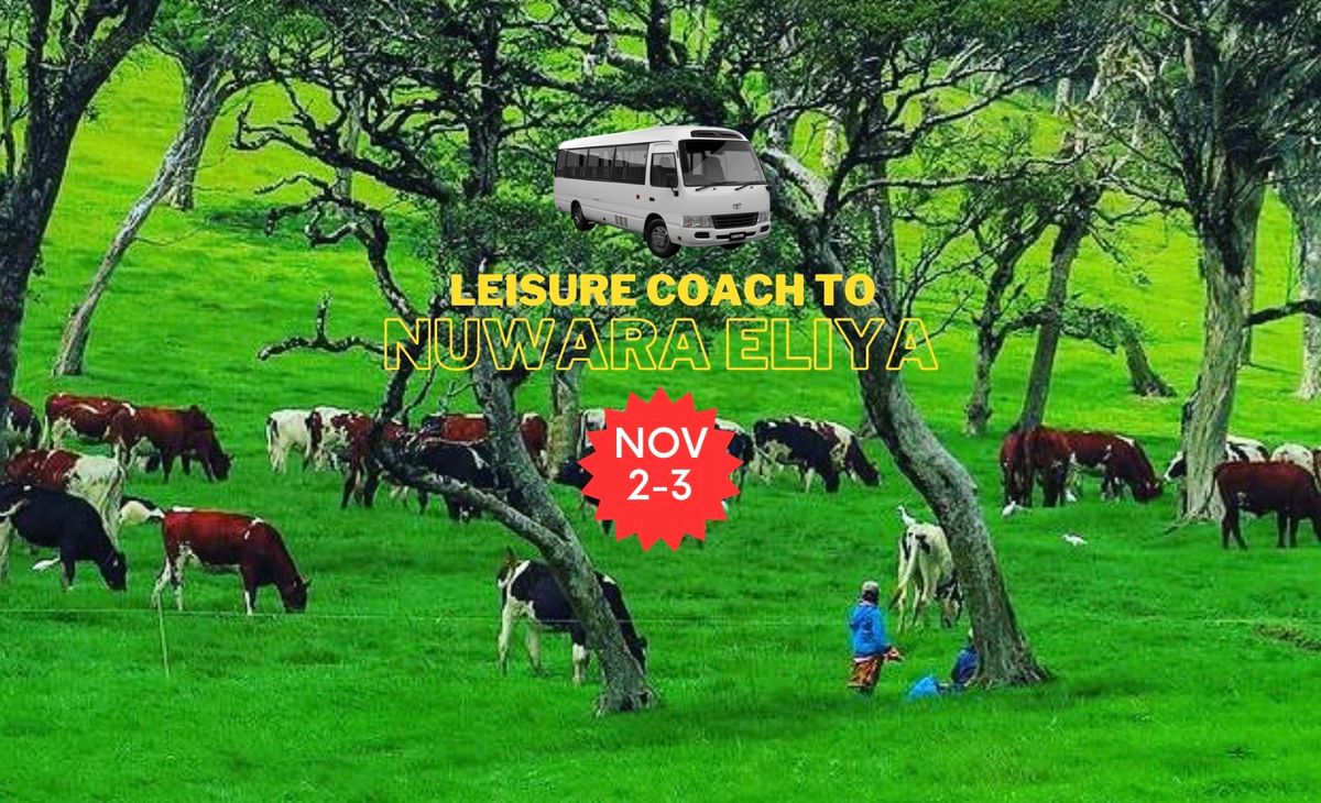 Leisure Coach to Nuwara Eliya with Alpha Leisure