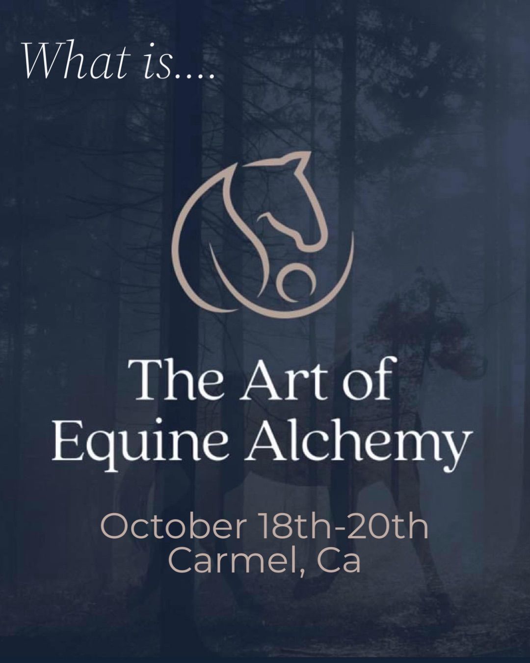 The Art of Equine Alchemy 