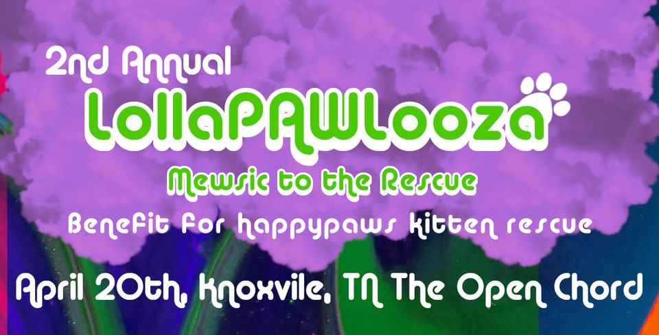 LollaPAWlooza: Mewsic to the Rescue