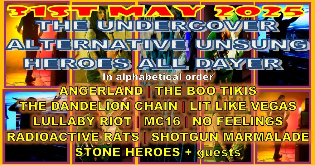 THE UNDERCOVER ALTERNATIVE UNSUNG HEROES ALL DAYER 