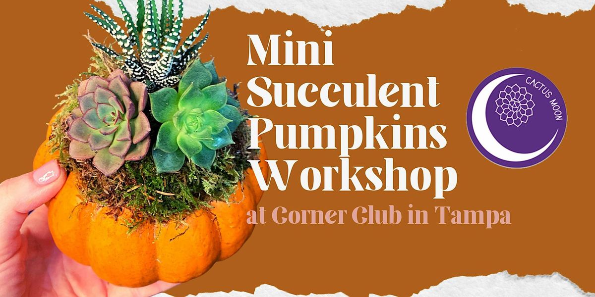 Oct 17: 'Lil Succulent Pumpkins Workshop at Corner Club