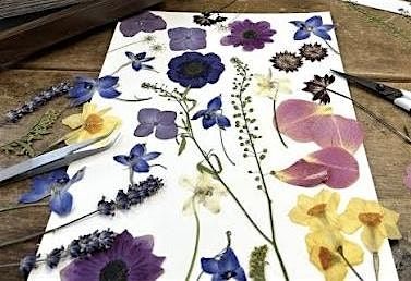 Spring Pressed Flower Workshop