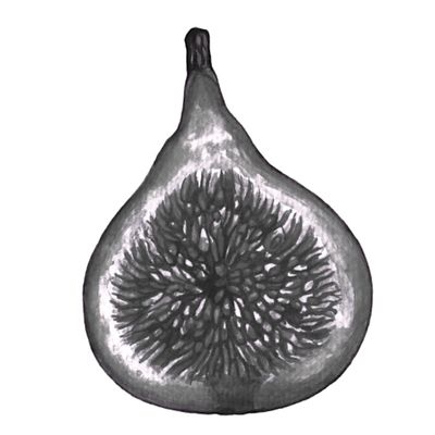 Little Fig Productions