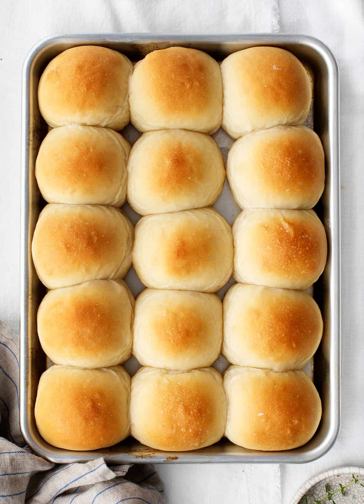 Bread Basics - Homemade Dinner Rolls