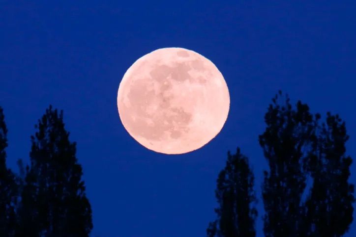 Pink Full Moon Sauna Circle 