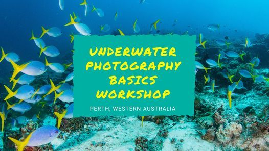 Underwater Photography Basics Workshop