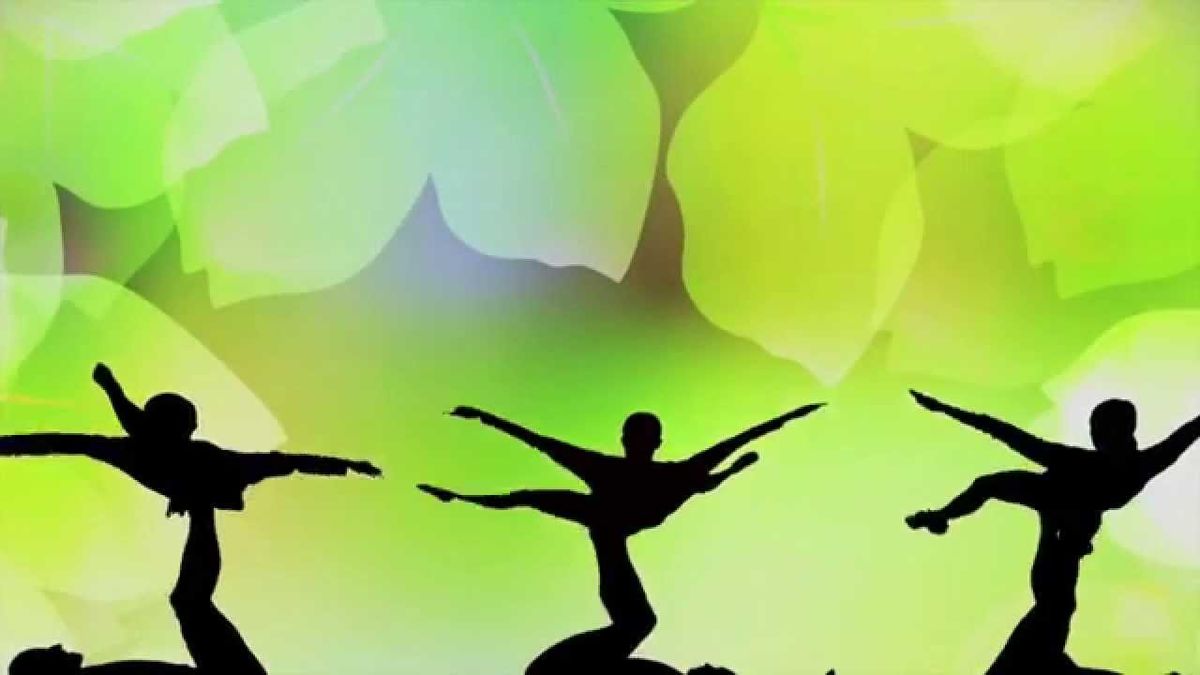 Catapult: The Amazing Magic of Shadow Dance