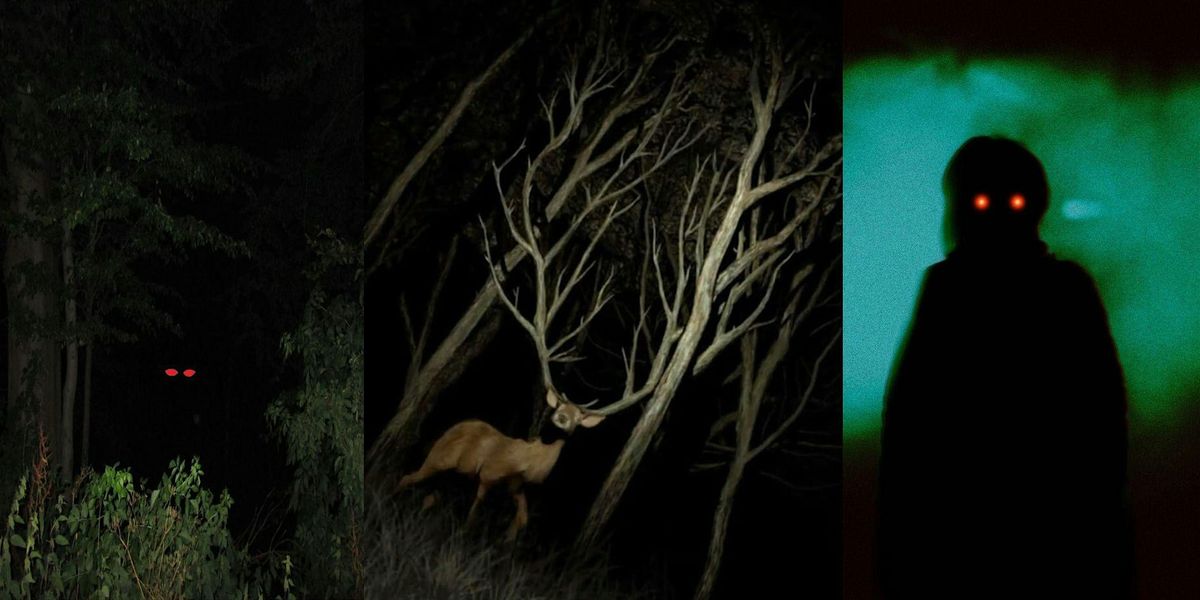 Appalachian Horror | Twickenham Writers