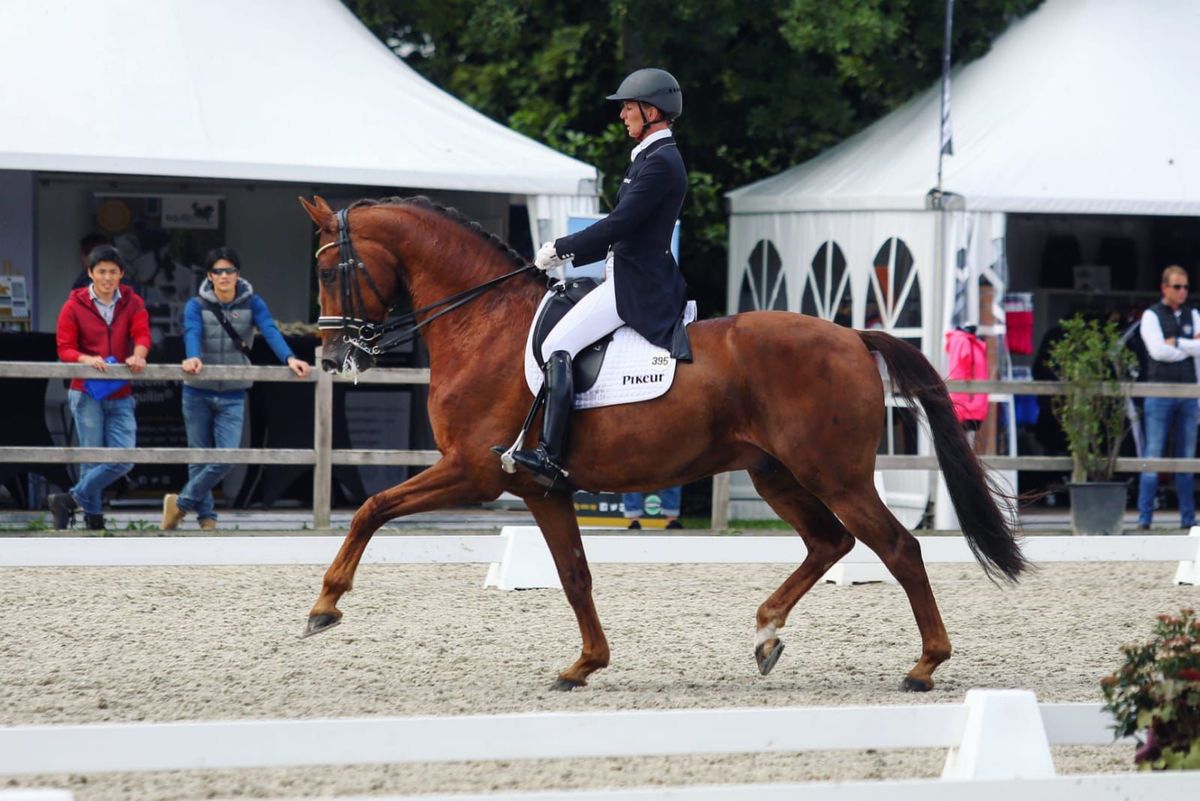 Subtop Dressuur Meerdaagse + L&R Horse Events Young Talent (Subli Cup)