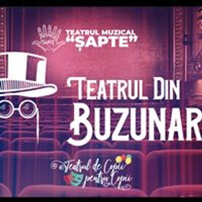 Teatrul din Buzunar Gala\u021bi