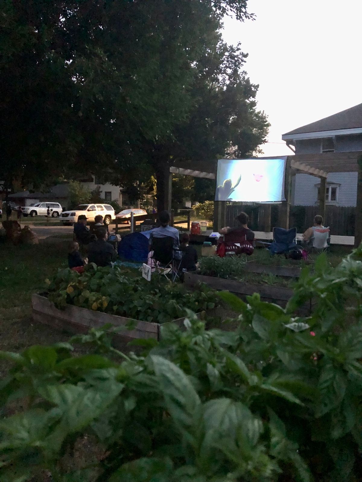 Movie Night in the Garden