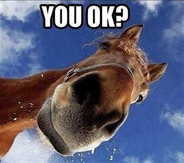 Unscheduled Dismounts: A falling and emergency dismount clinic