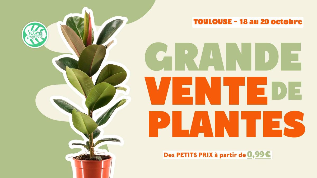 Grande Vente de Plantes - Toulouse