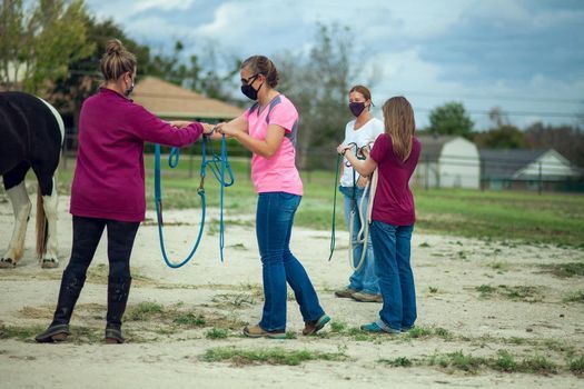 Trauma Focused Equine Assisted Mental Health and Learning